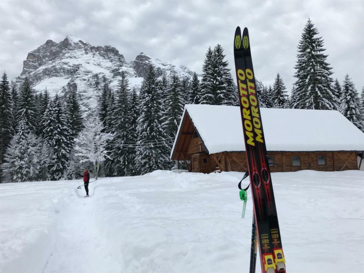 Chalet Delle Dolomiti Pieve di Cadore Exterior photo